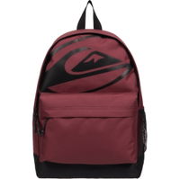 Mens Everyday Backpack